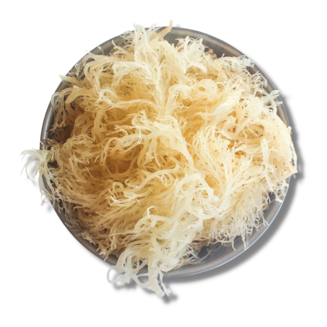 Premium Quality Natural Gold Irish Sea Moss 1\2lb